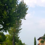 Photo n°2 de l'avis de Giuseppina.i fait le 12/09/2021 à 16:48 sur le  Le Ali del Frassino à Laghetto del Frassino, Peschiera del Garda