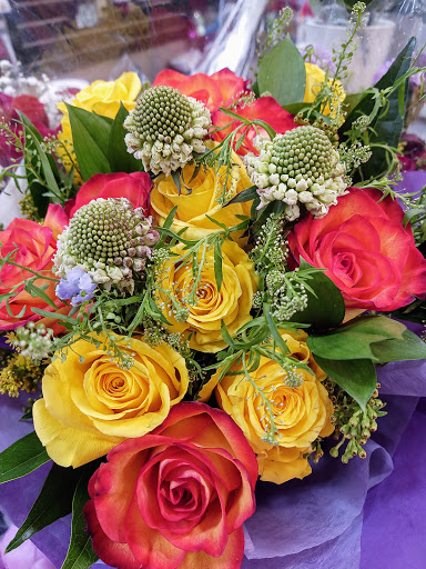 Grocery Store «H-E-B Grocery», reviews and photos, 209 N Texas Ave, Mercedes, TX 78570, USA