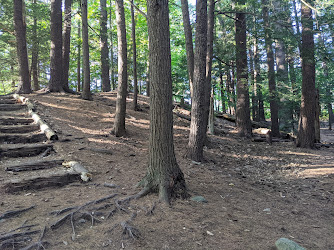 Bellamy Park Disc Golf