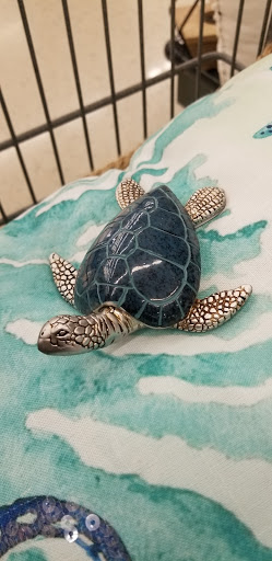 Craft Store «Hobby Lobby», reviews and photos, 210 Porters Vale Blvd, Valparaiso, IN 46383, USA