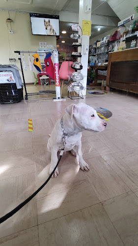 Opinii despre Surpatagonia Arquitectura y Construcción în Osorno - Arquitecto