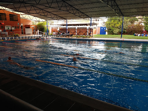 Swimming Academy Johnny Bello
