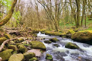 Golitha Falls image