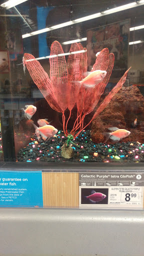 Pet Supply Store «Petco Animal Supplies», reviews and photos, 717 SE Geary St #101, Albany, OR 97321, USA