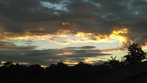 Park «Joe Moody Harris Park», reviews and photos, N Center Ave, Panama City, FL 32401, USA