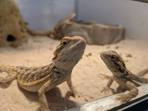 Pet Supply Store «Valley Feed», reviews and photos, 1486 Freedom Blvd, Watsonville, CA 95076, USA