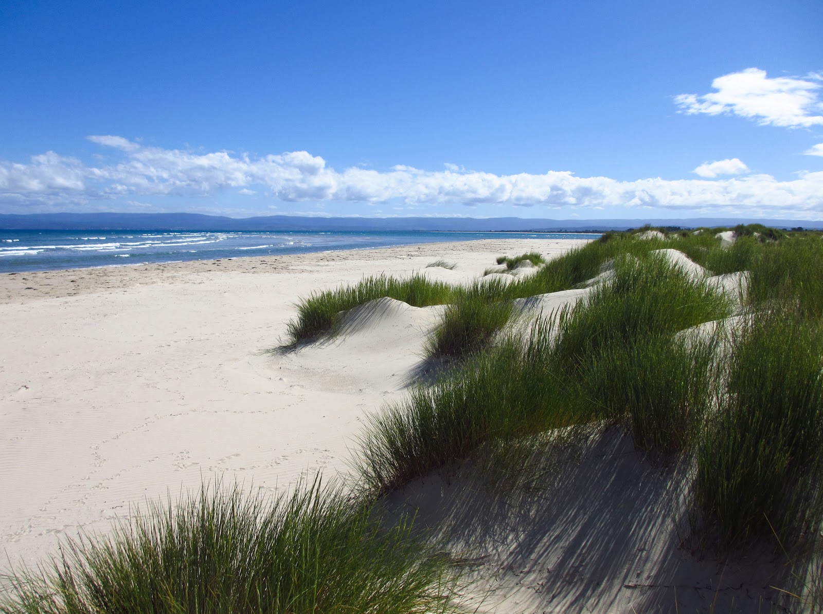 Fotografija Sandpiper Beach z svetel pesek površino