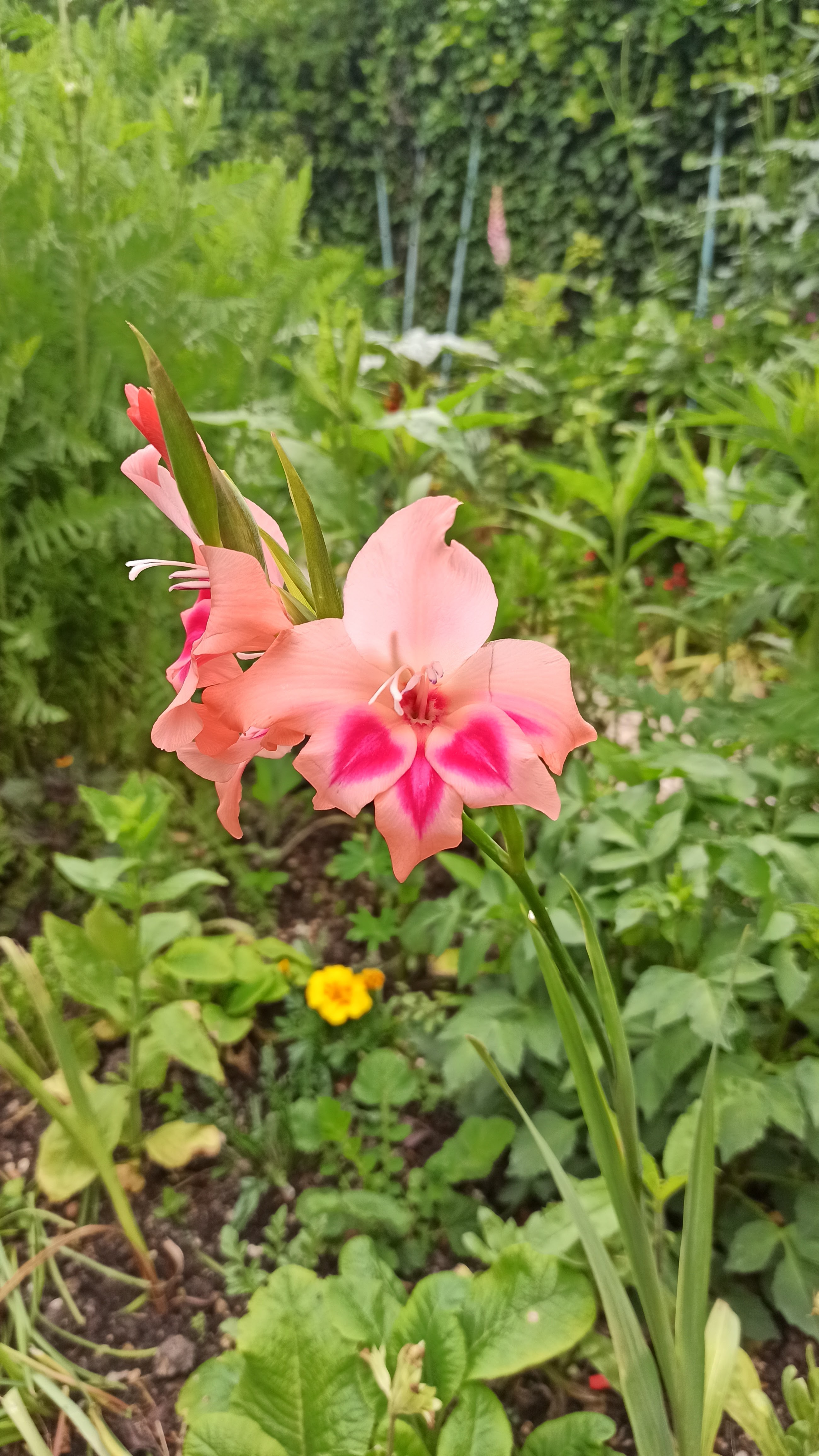 Photo n° 1 de l'avis de Marie.n fait le 30/05/2022 à 13:17