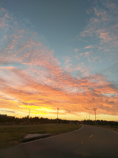 Auto Repair Shop «The Tire Choice», reviews and photos, 10742 Big Bend Rd, Riverview, FL 33579, USA