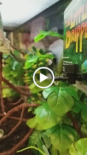 Pet Supply Store «Petco Animal Supplies», reviews and photos, 12014 SW 88th St, Miami, FL 33186, USA