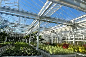 Christchurch Botanic Gardens Visitor Centre image
