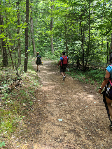 Tourist Attraction «Virginia Canopy Tours», reviews and photos, Daughter of Stars Dr, Bentonville, VA 22610, USA