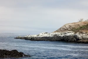 Cachagua Island image