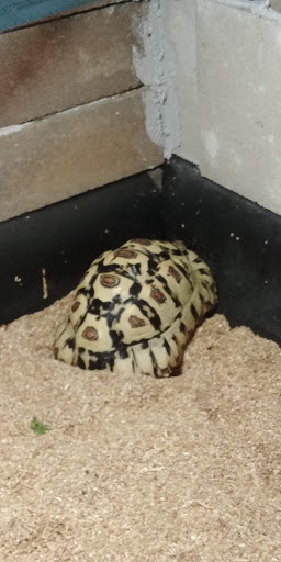 Pet Store «Olathe Pet Shop», reviews and photos, 16651 151st St, Olathe, KS 66062, USA