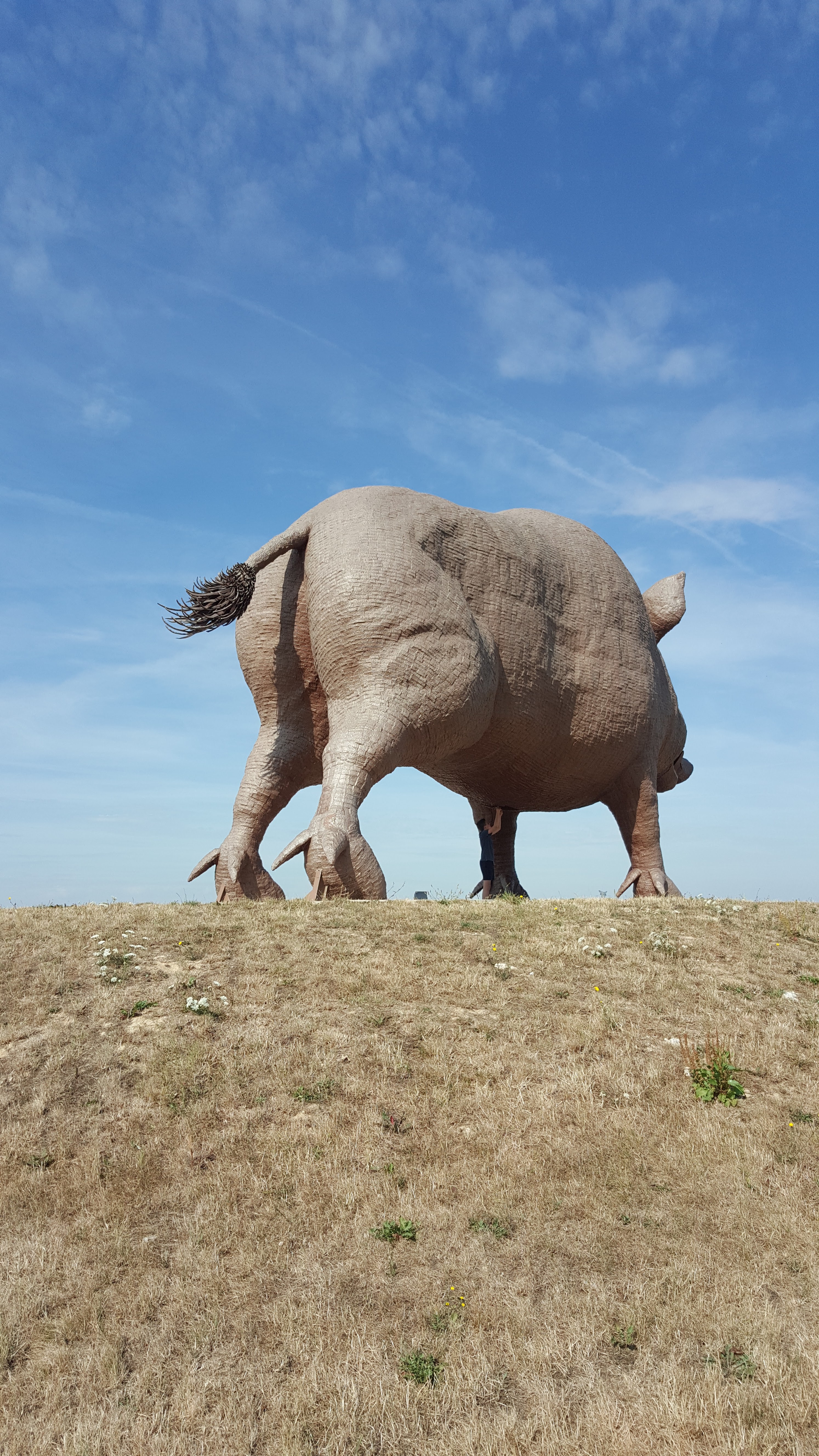 Photo n° 1 de l'avis de Nadine.. fait le 05/08/2019 à 07:30