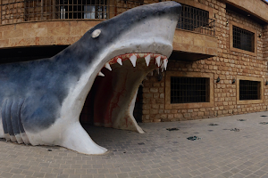 Lebanese Marine and Wildlife Museum image