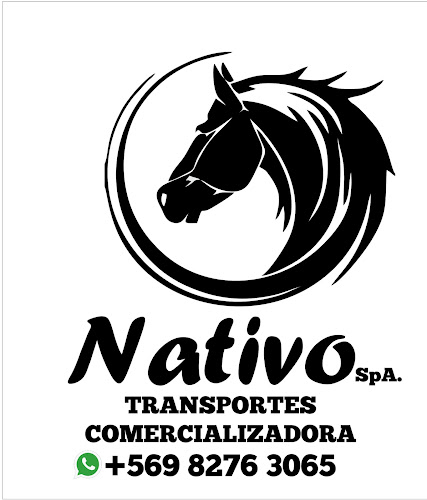 Nativo Chile - Temuco