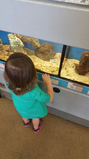 Pet Supply Store «Petco Animal Supplies», reviews and photos, 1201 E Washington Ave, Union Gap, WA 98903, USA