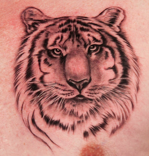 Explore bluey tattoo ideas, creative tattoo ideas in Reno, available at Stingray Tattoo supplies