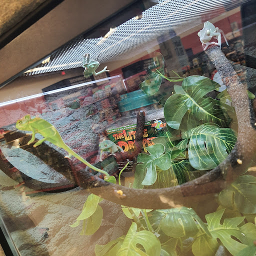 Pet Supply Store «Petco Animal Supplies», reviews and photos, 1209 New Brunswick Ave, Phillipsburg, NJ 08865, USA