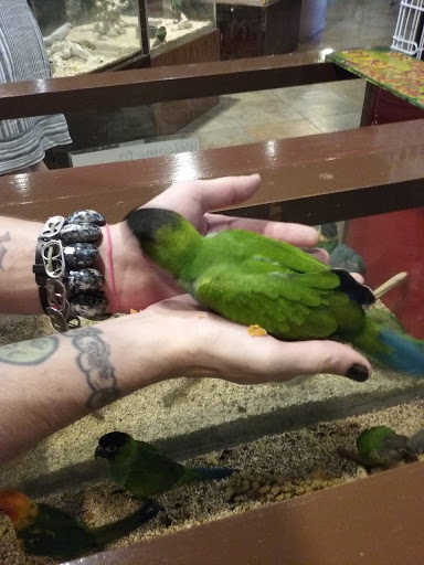 Pet Store «Pet Kingdom», reviews and photos, 4650 S Cleveland Ave, Fort Myers, FL 33907, USA