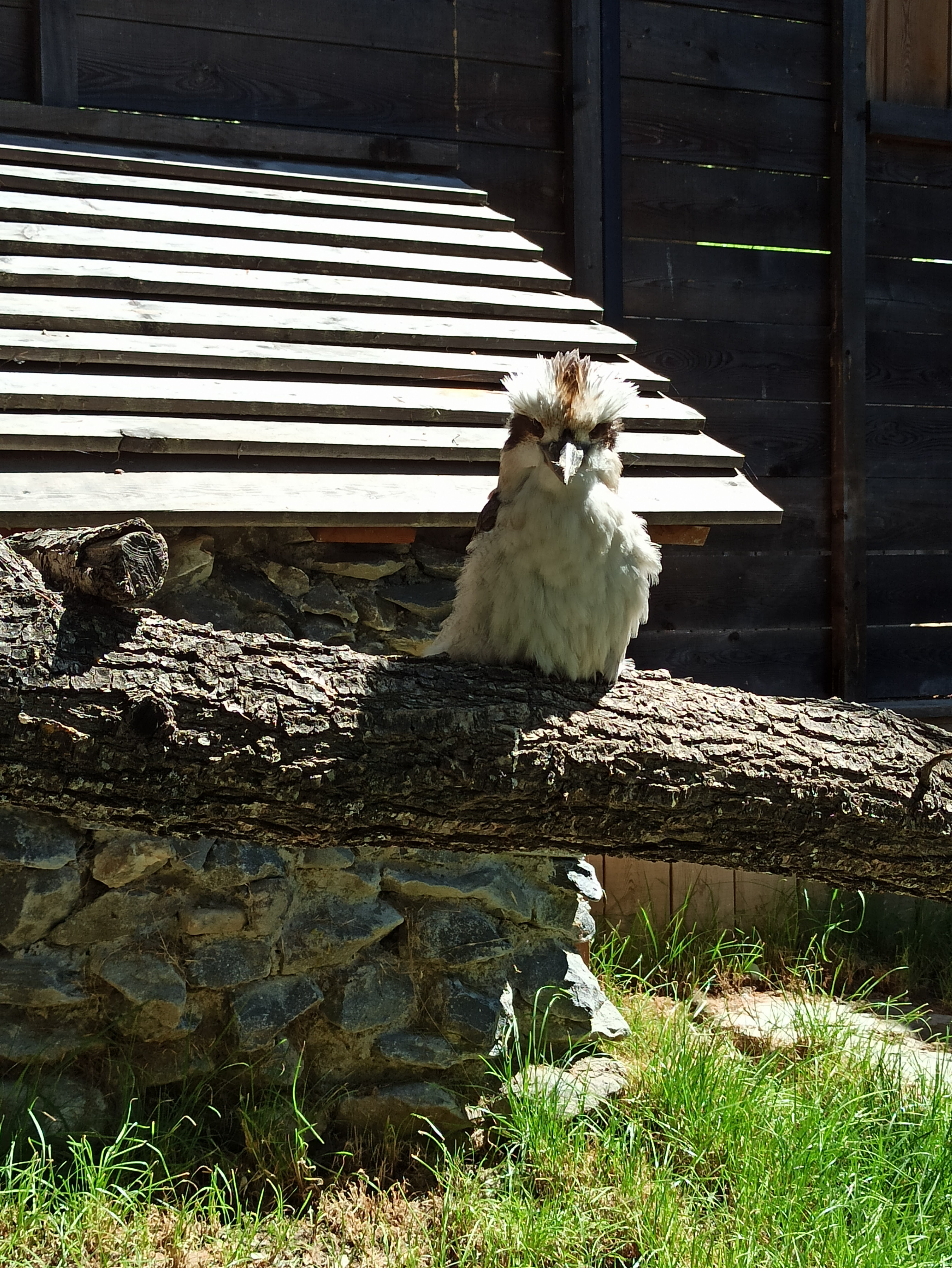 Photo n° 2 de l'avis de Romain.r fait le 29/05/2022 à 17:59