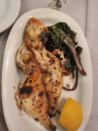 Comentarii opinii despre Φλόκος