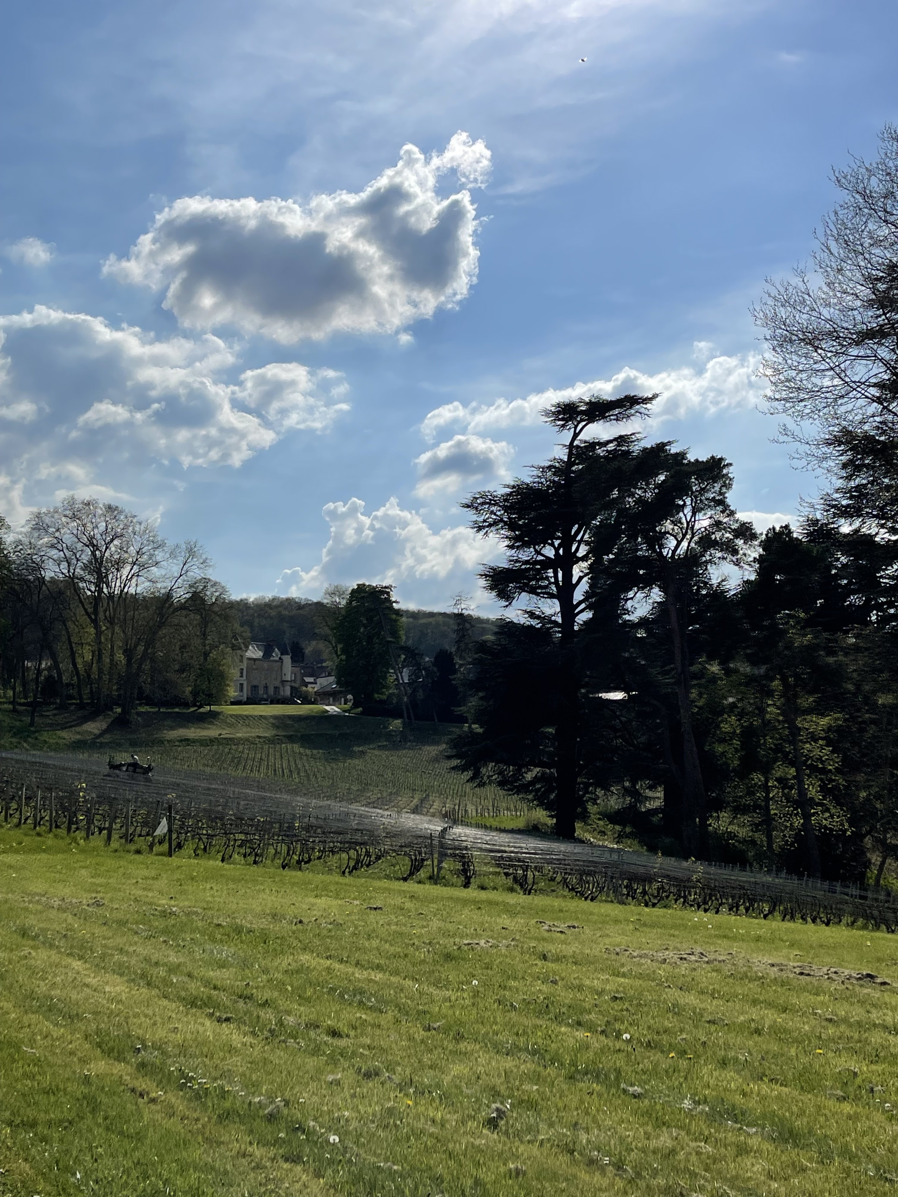 Photo n° 3 de l'avis de Kimi.i fait le 14/04/2022 à 15:51