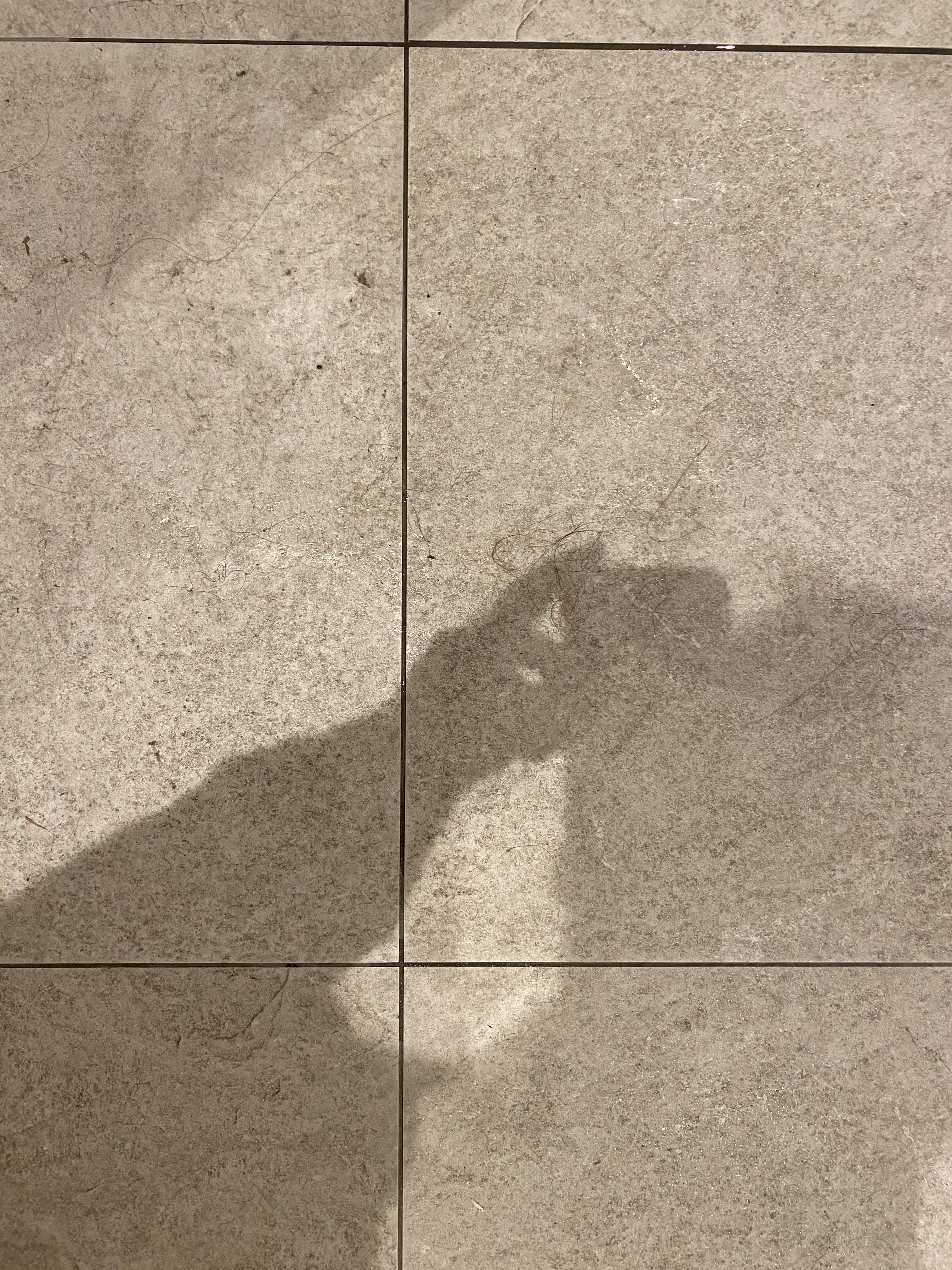 Photo n° 2 de l'avis de Romane.o fait le 29/11/2023 à 14:25