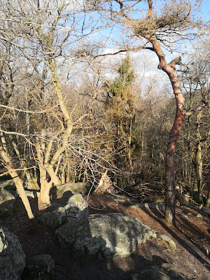 Rochers à Nainville-les-Roches