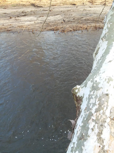 Nature Preserve «White Clay Creek State Park Nature Center», reviews and photos, 1475 Creek Rd, Newark, DE 19711, USA