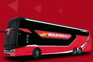Marino Bus stop for M image