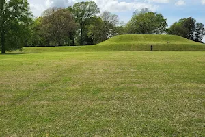 Chickasaw Heritage Park image