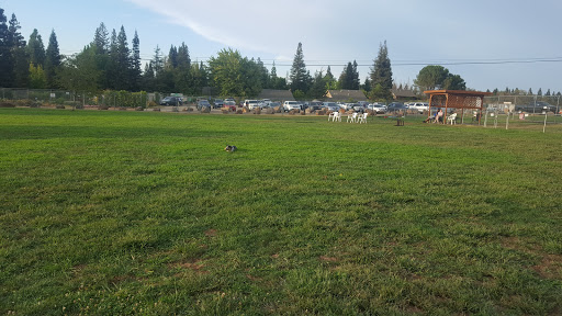 Dog Park «Phoenix Dog Park», reviews and photos, 9050 Sunset Ave, Fair Oaks, CA 95628, USA