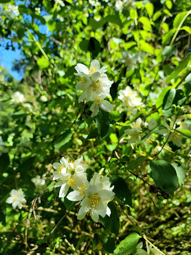 Park «The Park at Bothell Landing», reviews and photos, 9919 NE 180th St, Bothell, WA 98011, USA