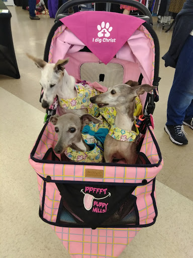 Convention Center «Colorado Springs Event Center», reviews and photos, 3960 Palmer Park Blvd, Colorado Springs, CO 80909, USA