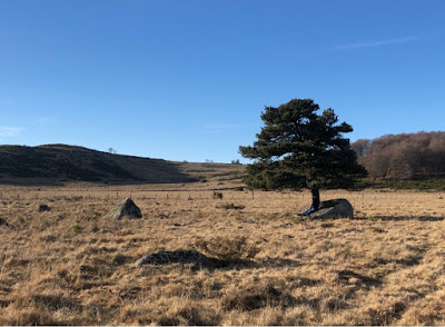 Territoire - Domaine de la Recouze à Le Buisson