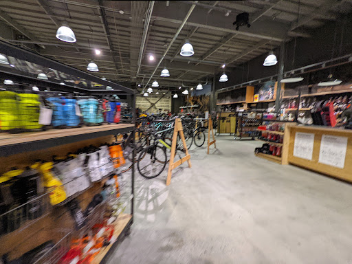 Camping Store «REI», reviews and photos, 2450 Charleston Rd, Mountain View, CA 94043, USA