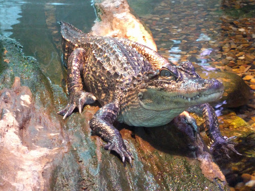 Park «William E. “Bill” Clark Presidential Park Wetlands», reviews and photos, President Clinton Ave, Little Rock, AR 72201, USA