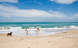 Photo de Indian River Oaks beach avec rivage droit, long