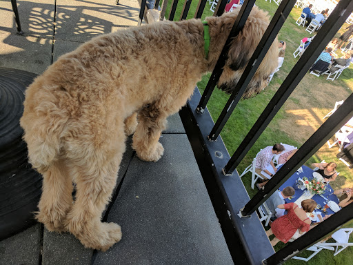 Golf Club «Gearhart Golf Links», reviews and photos, 1157 N Marion Ave, Gearhart, OR 97138, USA