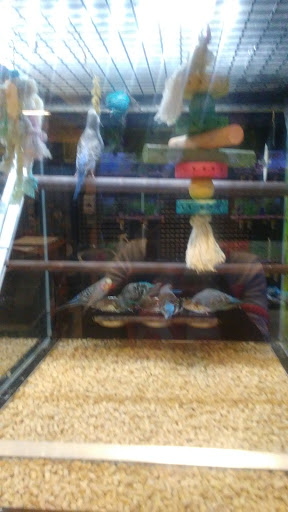 Pet Supply Store «PetSmart», reviews and photos, 2770 FM 365 c, Port Arthur, TX 77640, USA