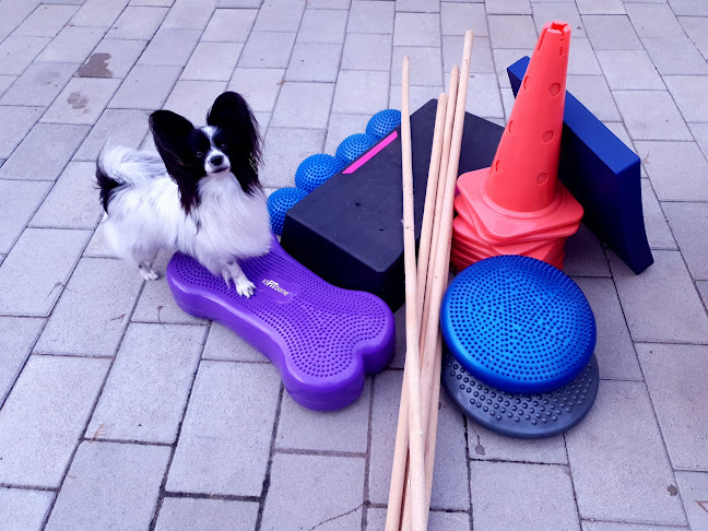 Doggo Fitt Wellness - Nyíregyháza