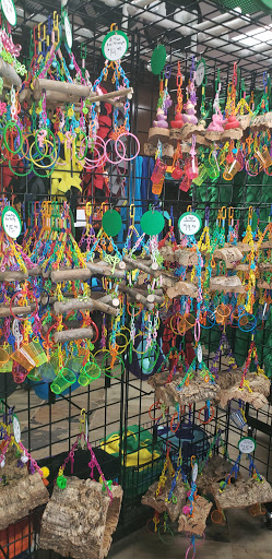 Pet Store «The Pet Glider, Glider World», reviews and photos, 11407 Craighead Dr, Houston, TX 77025, USA