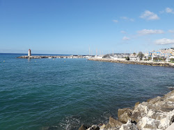 Photo de Plage pour les Chiens zone des équipements
