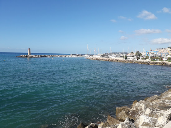 Plage pour les Chiens