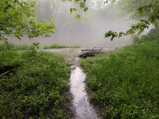 Nature Preserve «Knute Olson, Jr. Forest Preserve», reviews and photos, 12595 Base Line Rd, Kingston, IL 60145, USA