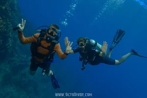 Octo Diver Perhentian Island image