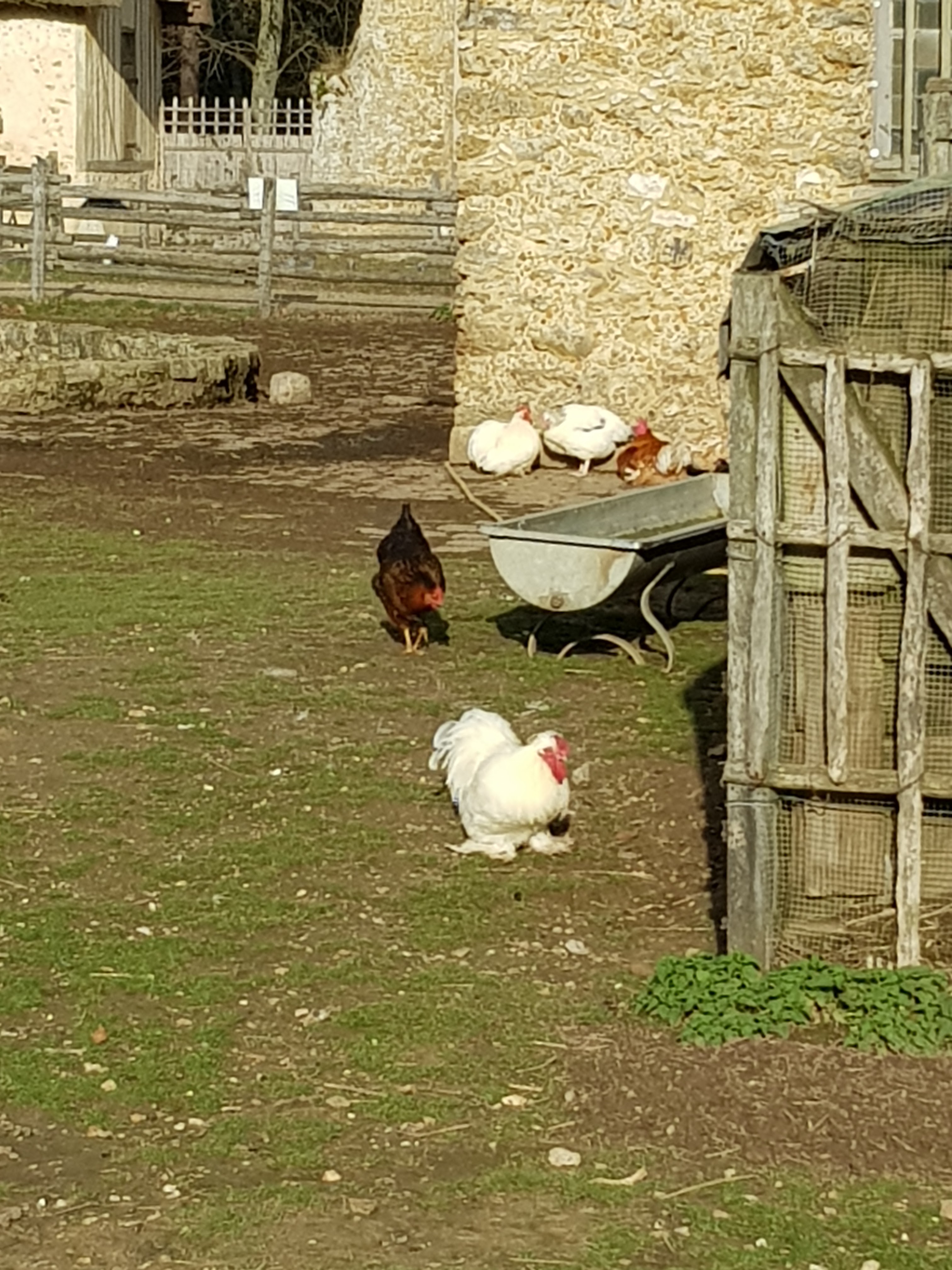 Photo n° 1 de l'avis de Linda.a fait le 10/01/2019 à 19:15