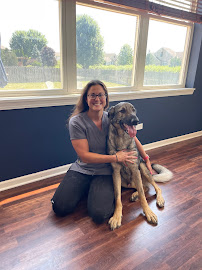 Kelsey's K9 Rehabilitation - Photo 8 - Car repair in Roscoe, IL, Rockford